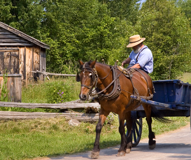 Horse carriage ride in the village