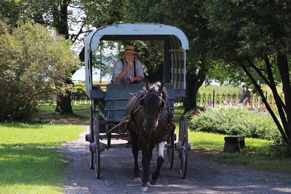 Horse carriage ride in the village