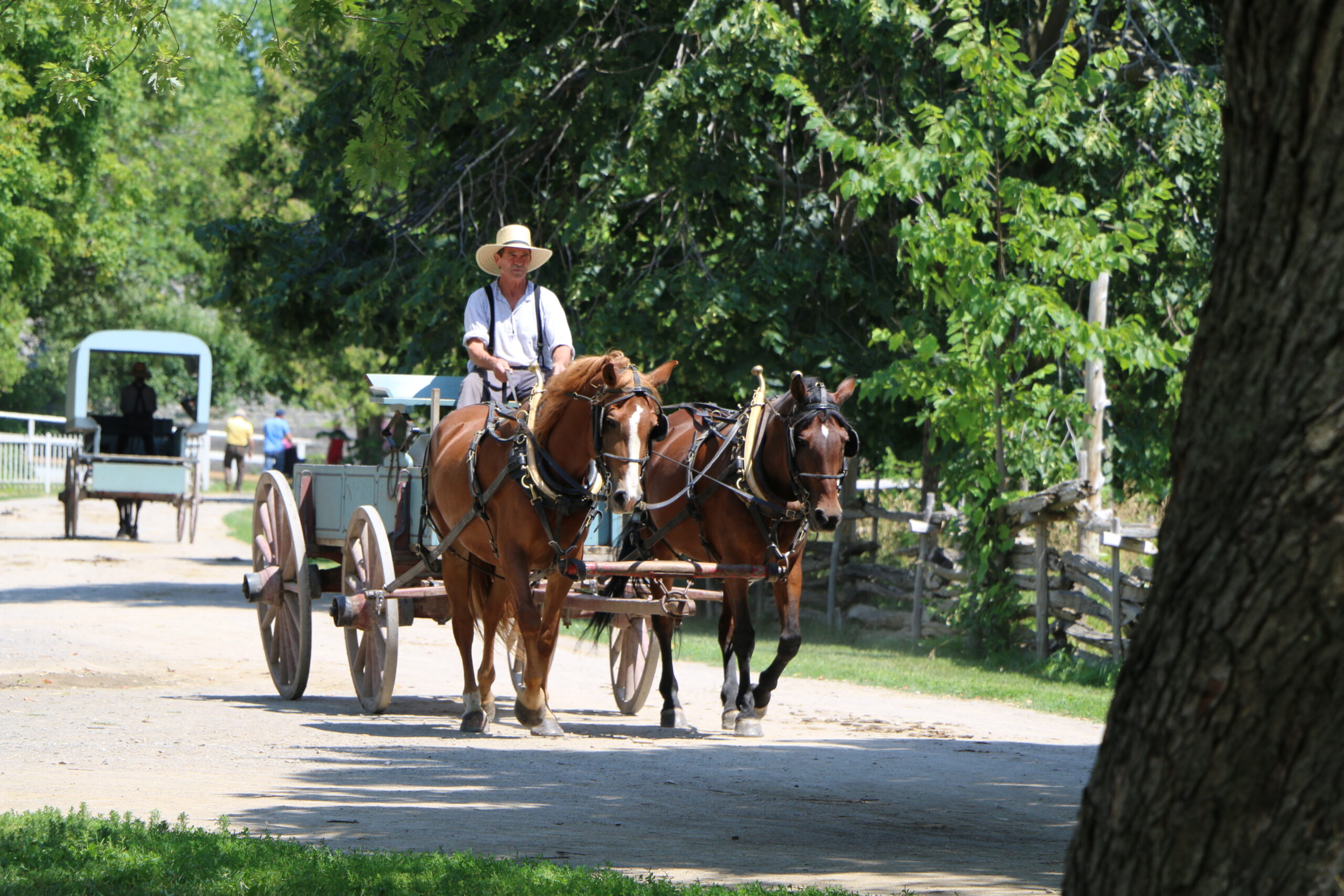 Upper Canada village interpreter riding horse wagon.