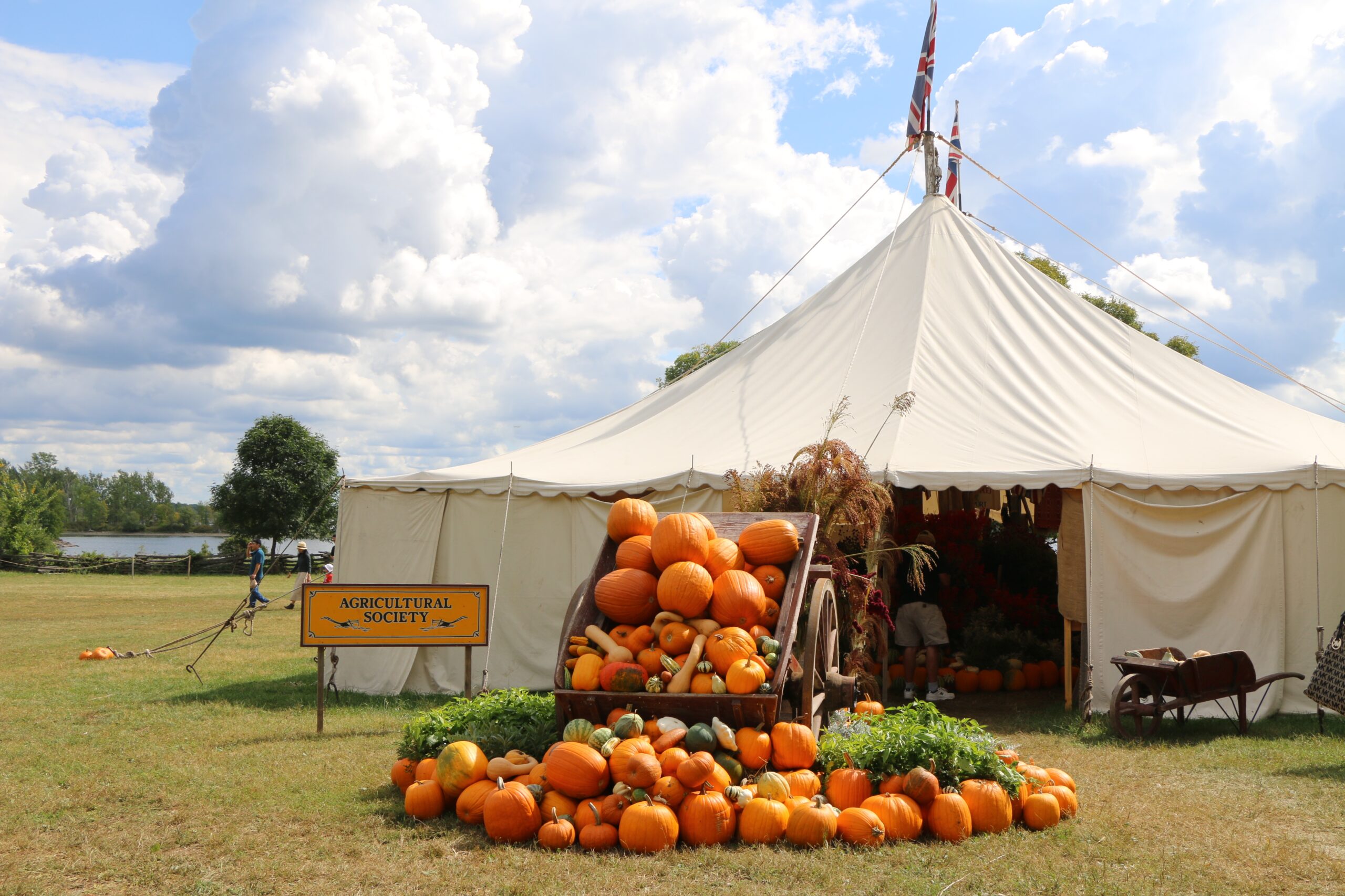 White tent with pumpkin display in front.